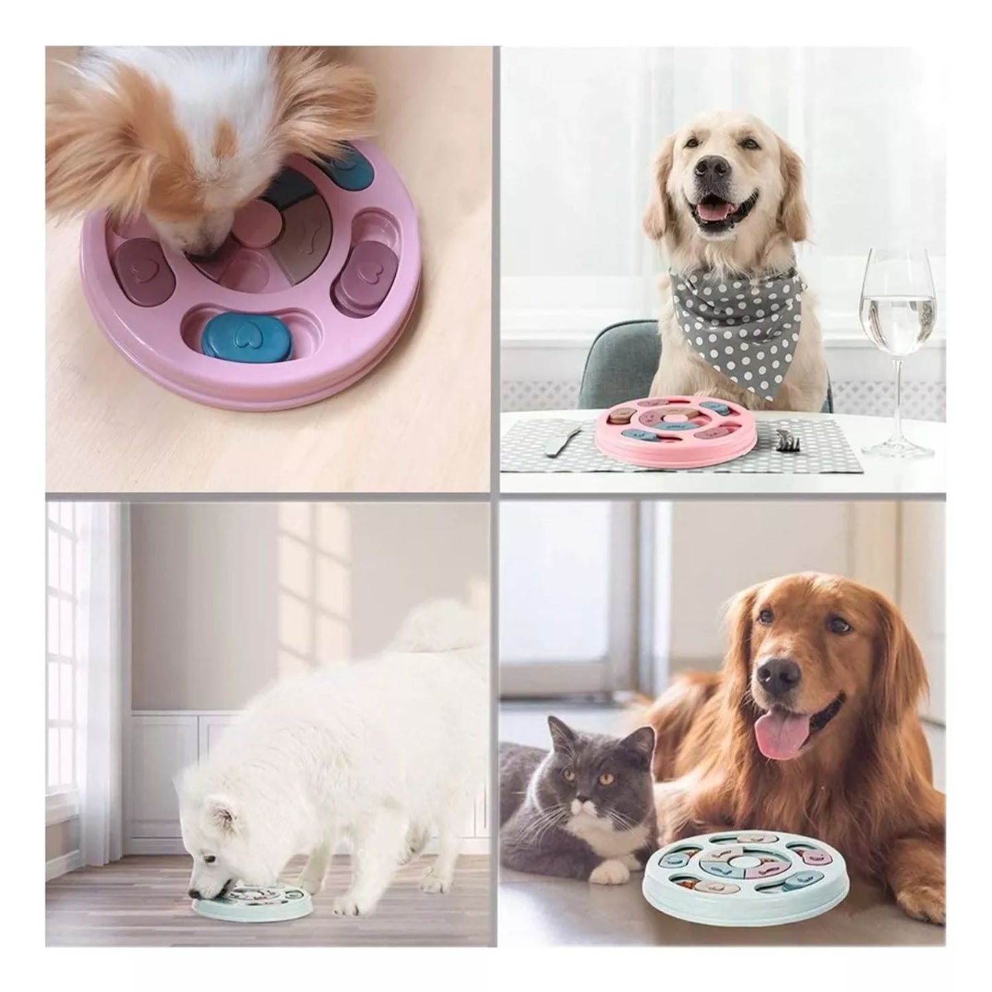Comedero Didactico Para Mascota Tazon In