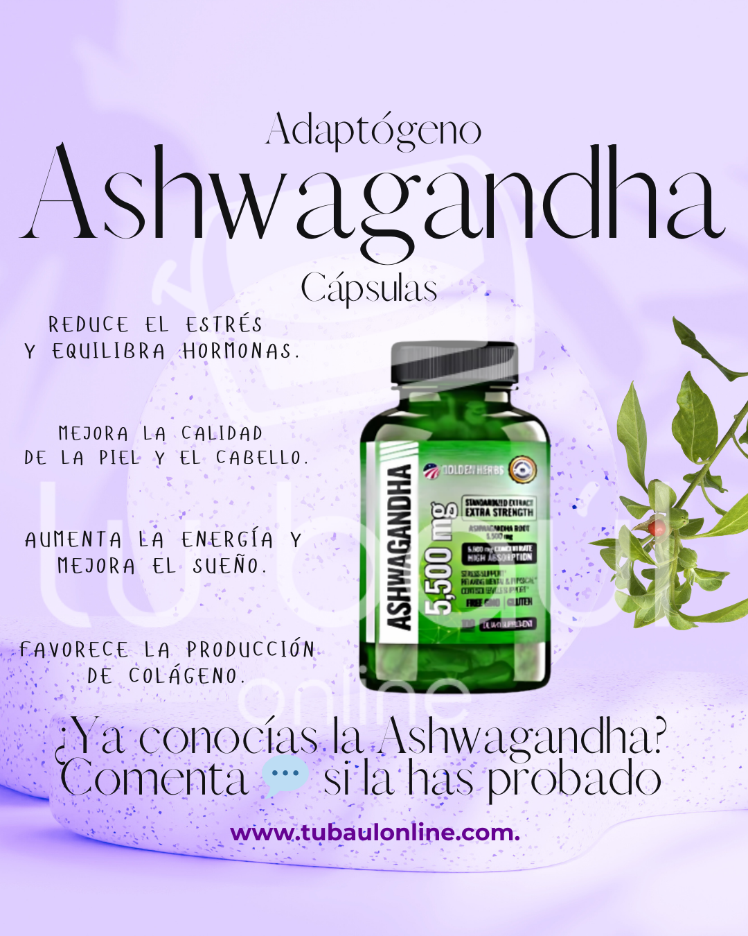 Ashwagandha 5.500 mg – Equilibrio Natural para tu Bienestar