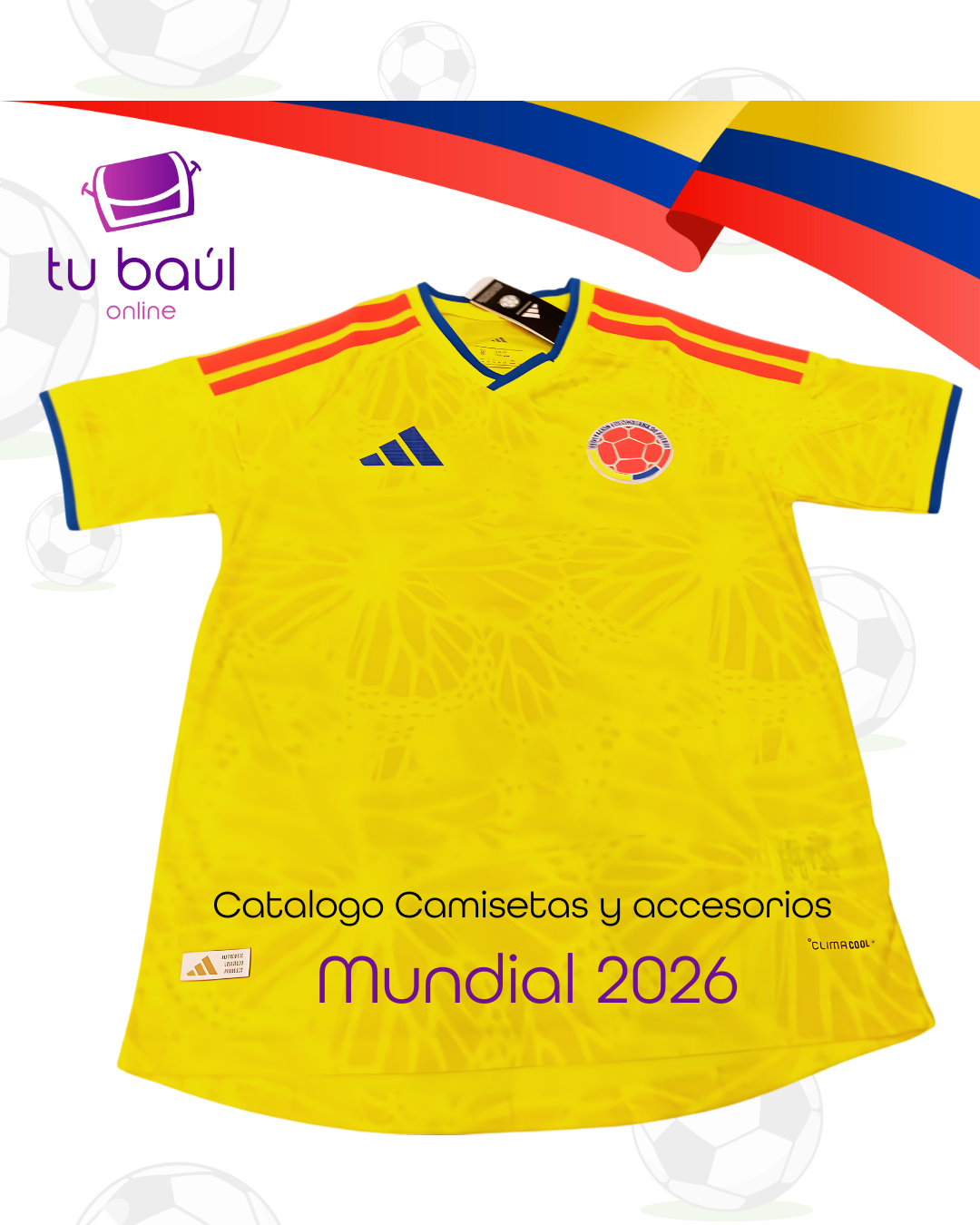 Camisetas y Accesorios Mundial 2026