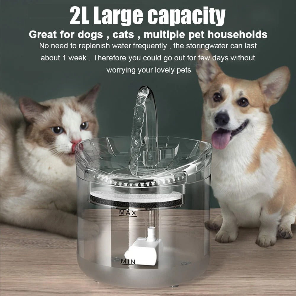 AquaPet Flow – Fuente de Agua 2L para Mascotas