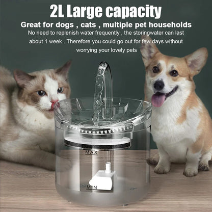 AquaPet Flow – Fuente de Agua 2L para Mascotas